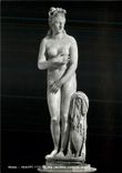 CPM Roma Venere Capitolina (Museo Capitolino)