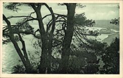 Nice CPA the bay of the angels through the pines of the castle