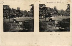Cartoscope CPA Lyon With the park (stag roe-deer)