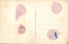 Holy Savoy CPA Pierre d' Albigny Road of the Wallows Saint Pierre d' Albigny Chatelard Aix les Bains collar of the Ash