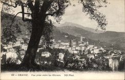 Fatty CPA Seen from between the olive-trees