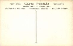 Fetthaltiges CPA gesehen zwischen von den Olivebaumen