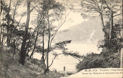 Toulon CPA Brown Cape Handle of Mejean through the pines