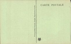 Caves of Betharram CPA Columns in formation