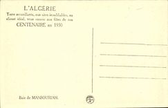 Algeria CPA Bay of Mansouriah