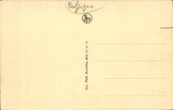 Belgie Belgium Malignant Cathedral St Rombaut