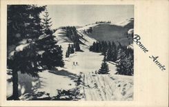 CPA Happy New Year (mountain ski)