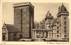 Pau CPA the castle Keep and frontage is