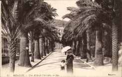 Menton CPA Une allee de Palmiers
