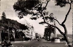 Nice MODERN CARD the walk of the English the Boron Mount