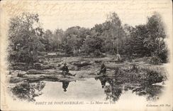 Drill of Fontainebleau CPA the pond with the Fairies