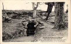 Drill of Fontainebleau CPA the fountain of the Hermits (1169)