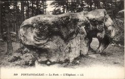 Drill of Fontainebleau CPA the drill the elephant