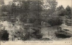 Drill of Fontainebleau CPA Pond to the pigeons