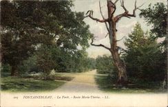 Fontainebleau CPA the drill Road Marie Therese