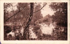 Fontainebleau CPA the Pond of Franchard