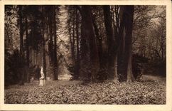 Fontainebleau CPA Allee of the Plane trees