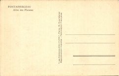 Fontainebleau CPA Allee of the Plane trees