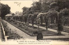 Bois de Boulogne CPA La roseraie de Bagatelle 