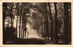 Versailles CPA Allee of the summer