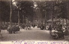 Vichy CPA an alley of the park