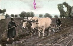 Vichy CPA Tilling with the surroundings