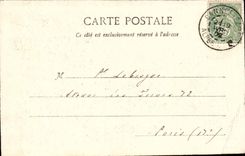 Cannes CPA Pines of Bocca