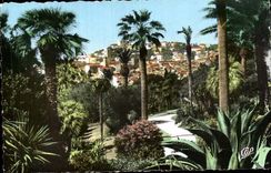 Fatty CPA Seen from of the park de luxe hotel