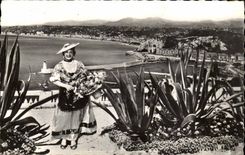 Nice MODERN CARD View