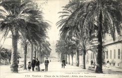 Toulon - Place of the Freedom Allee of Palm trees CPA