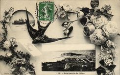 CPA Souvenir of Nice (swallows)