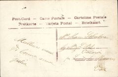 CPA Fantasy Woman January Happy New Year