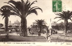Nice CPA palm trees of the public garden (palm trees)