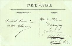 Nice CPA palm trees of the public garden (palm trees)