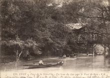Lyon CPA Park of the gold head an arm of the lake towards the bridge of wood