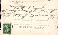 CPA Fantasy Happy New Year Woman and flowers