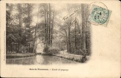 Vincennes CPA Wood Details of landscape