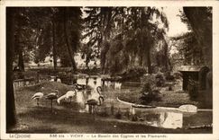 Vichy CPA Basin of the swans and the Flemings