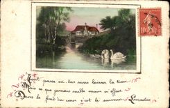 Fantasy CPA Any master key here low without leaving of trace (swans swan)