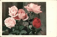 CPA Fantasy Flowers Roses