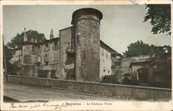 Bayonne CPA the old castle