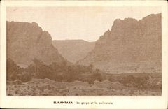 Morocco Morocco El Kantara CPA the throat and palm plantation