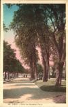 Vichy - In the New Park - illustration - CPA