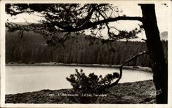 Auvergne CPA the lake Serviere