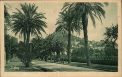 Hyeres Palmen CPA die Godillot Panorama auf der Stadt auftraten