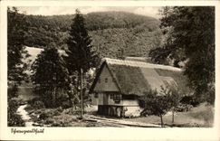 Firm Germany Germany cPA