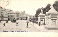 Belgie Belgium Brussels CPA Entrance of the park and palate of the king