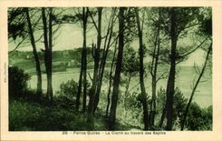 Perros Guirec CPA clearness through the fir trees