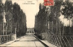 Cepoy CPA die Allee des Schlosses