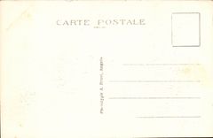 Perros Guirec CPA the beach of Trestraou seen through the trees of the rise of Clearness